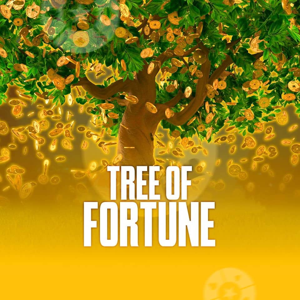 Bet365 casino bônus