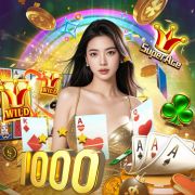 144bet