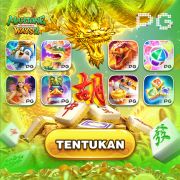 wildcoins