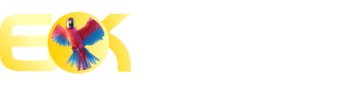 1xbet app - Kslots
